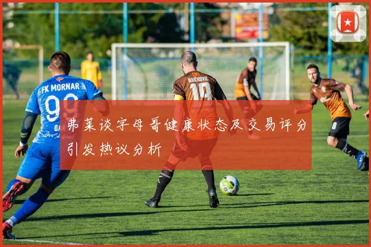 弗莱谈字母哥健康状态及交易评分引发热议分析